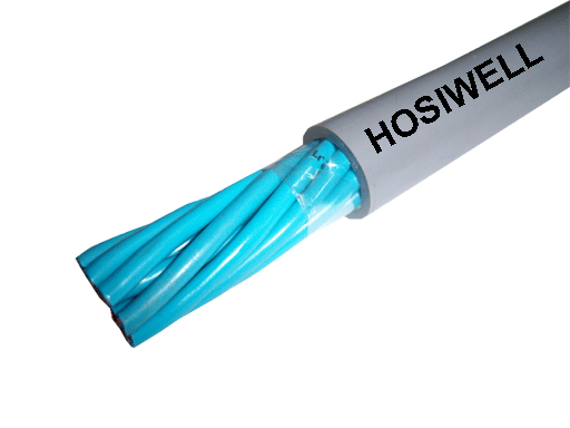 Hosiwell - IM/IN PVC - PVC控制電纜系列FT1耐燃等級
