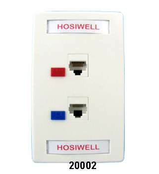 Hosiwell UK & US Type Faceplate