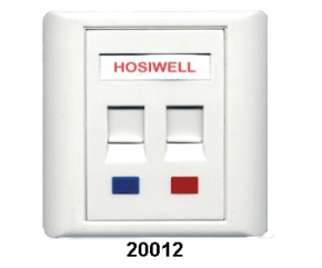 Hosiwell UK & US Type Faceplate